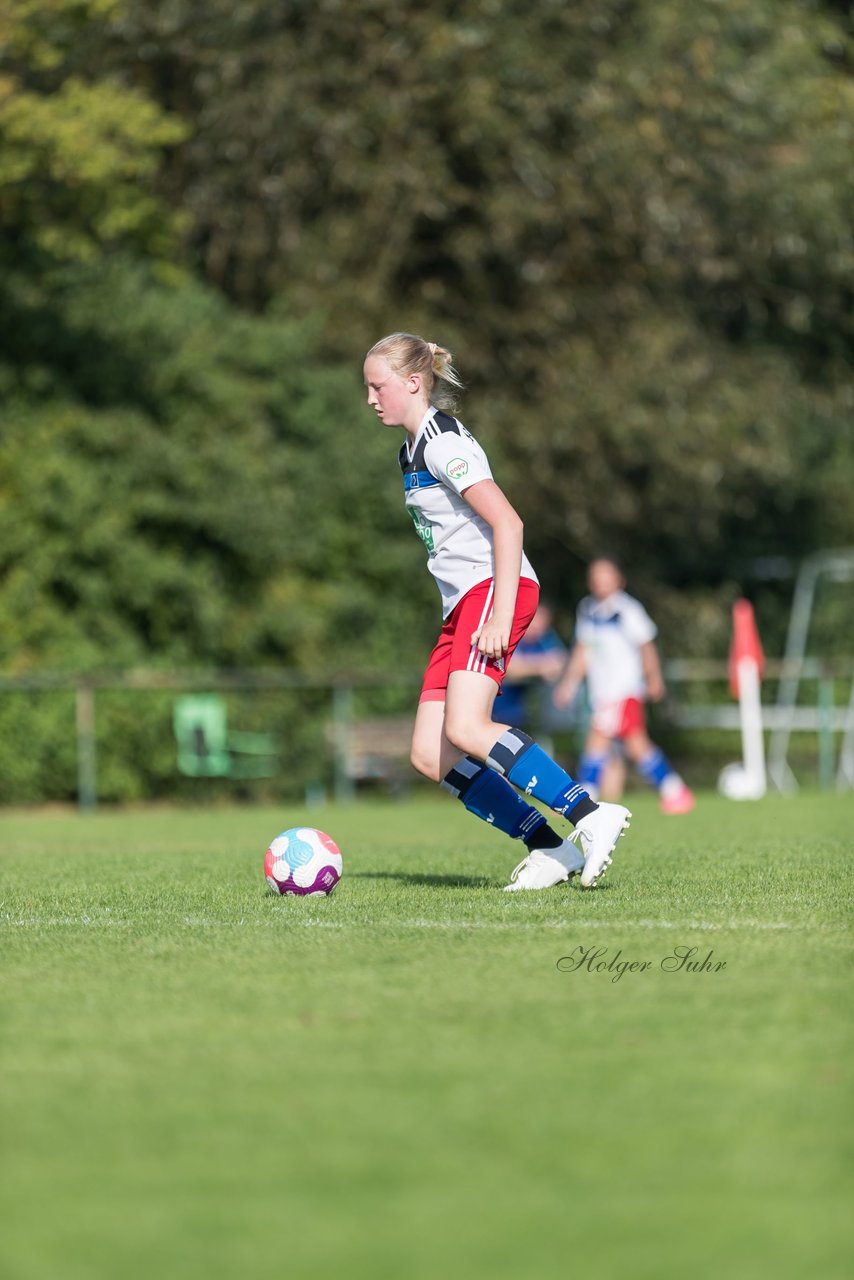 Bild 199 - wBJ VfL Pinneberg - Hamburger SV 2 : Ergebnis: 1:3